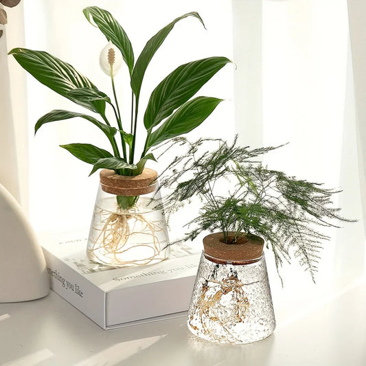 Glass Planter